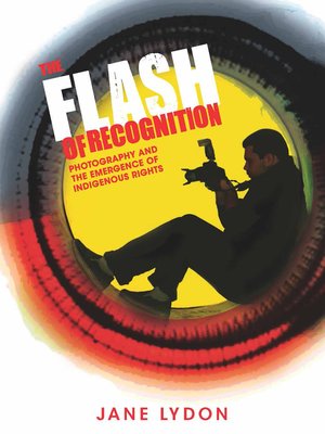 cover image of The Flash of Recognition